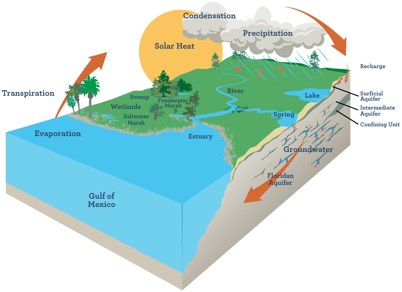 The Floridan Aquifer System WaterMatters org - H20 Zone Graphics%20[Water%20Basics%20 %20Floridian%20Aquifer] 